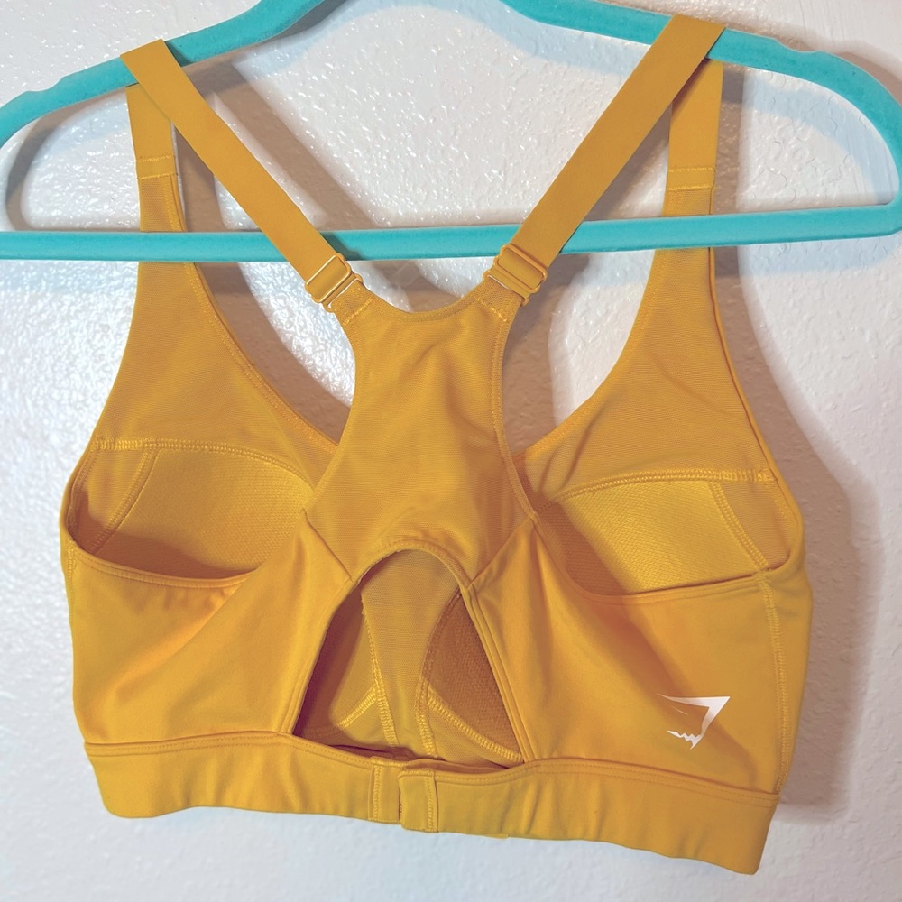 Large gym shark bra